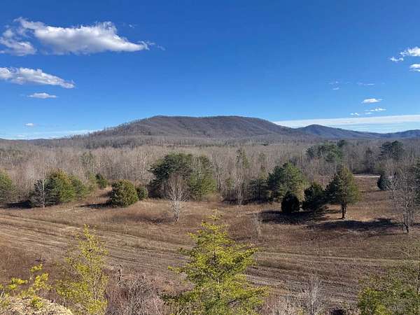 13.7 Acres of Recreational Land for Auction in Sunbright, Tennessee