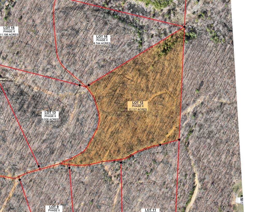 12.1 Acres of Recreational Land for Auction in Sunbright, Tennessee