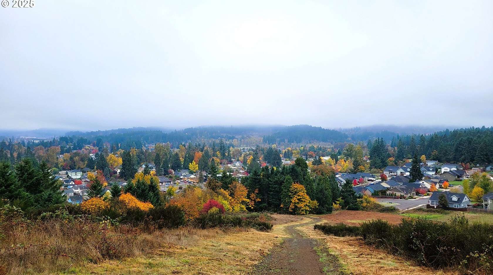 66.8 Acres of Recreational Land for Sale in Cottage Grove, Oregon
