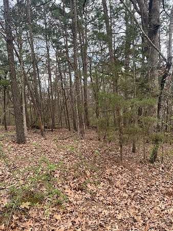 0.31 Acres of Residential Land for Sale in Bella Vista, Arkansas