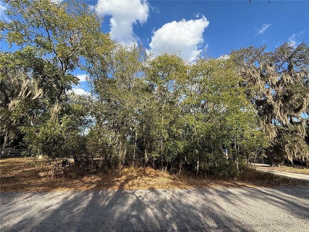 0.42 Acres of Land for Sale in Robstown, Texas