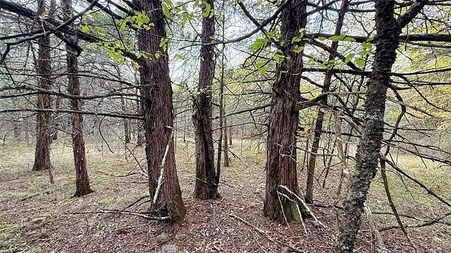 10 Acres of Recreational Land for Sale in Cookson, Oklahoma