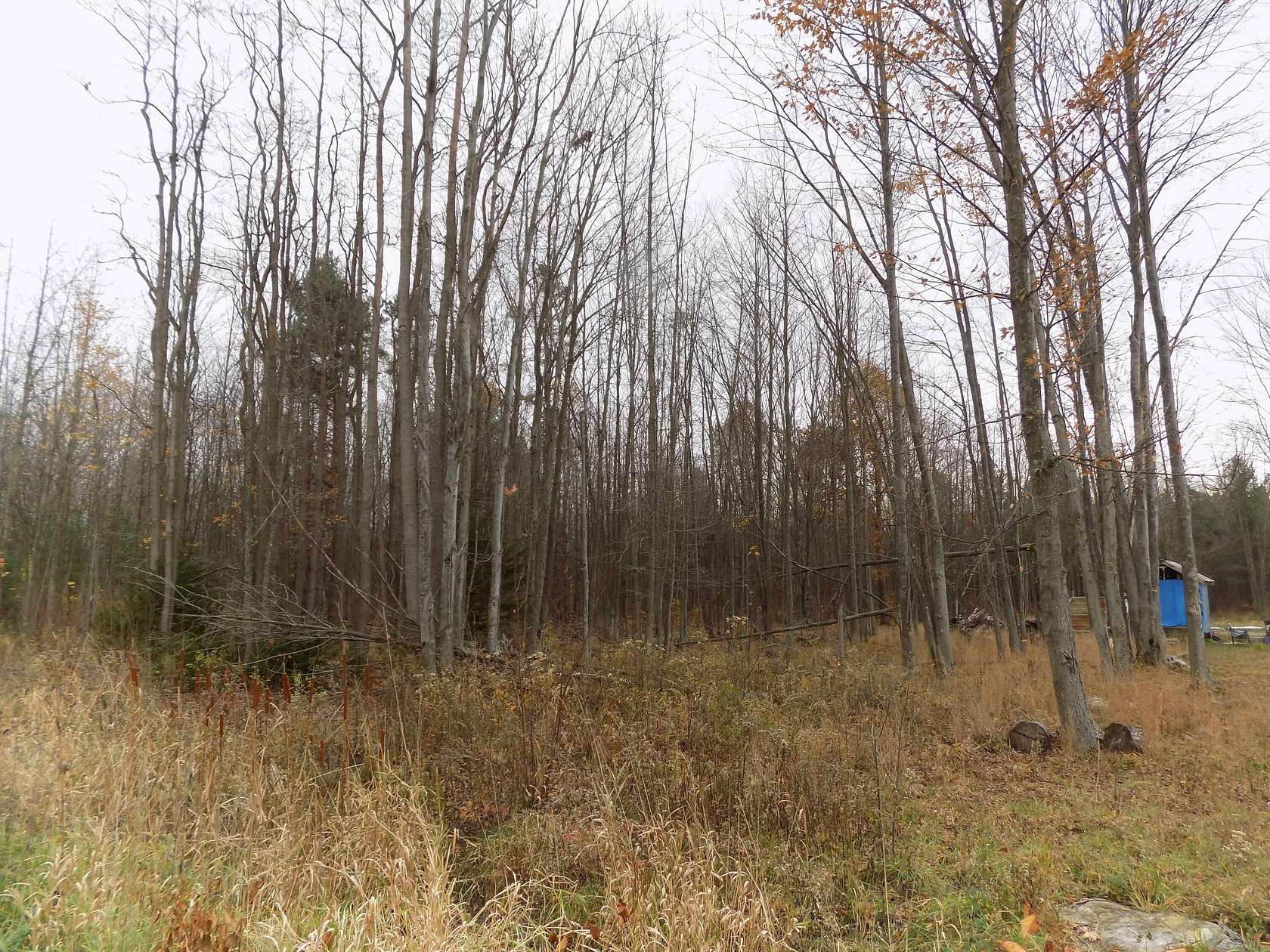 5 Acres of Land for Sale in Covert, Michigan