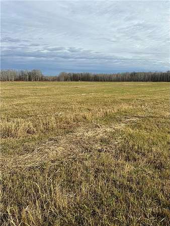 10.2 Acres of Land for Sale in Pine River, Minnesota