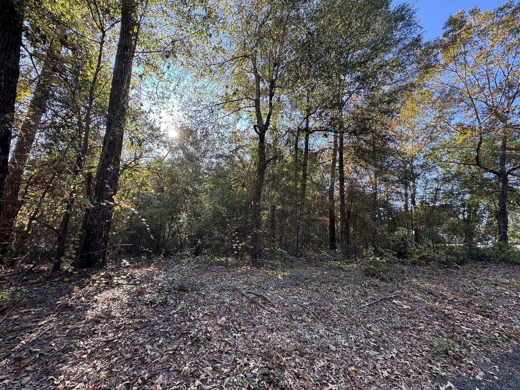1.39 Acres of Residential Land for Sale in Jackson, South Carolina