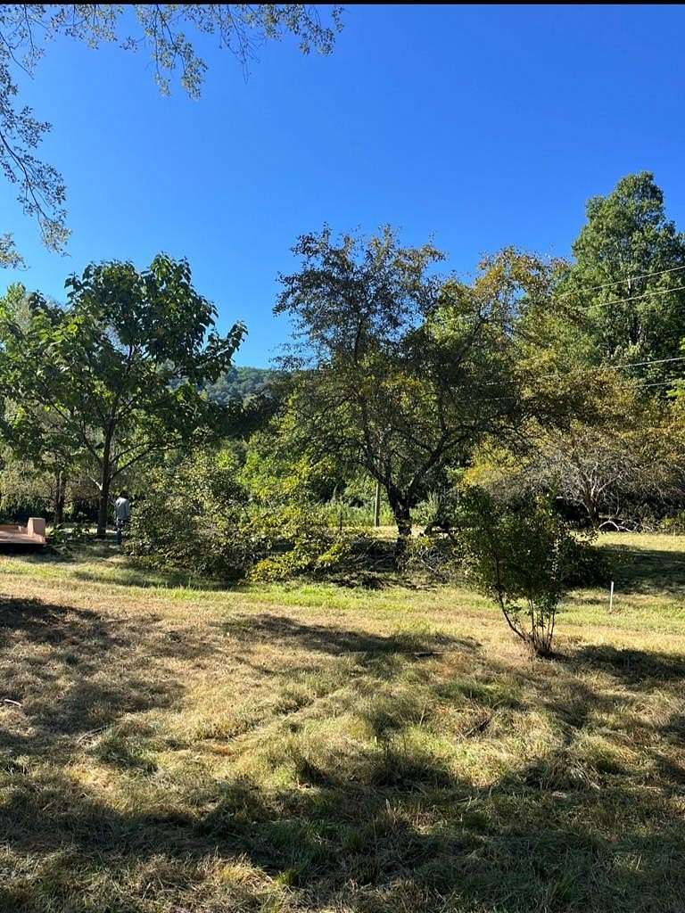 Land for Sale in Artie, West Virginia