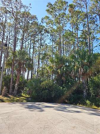 0.27 Acres of Residential Land for Sale in Palm Coast, Florida