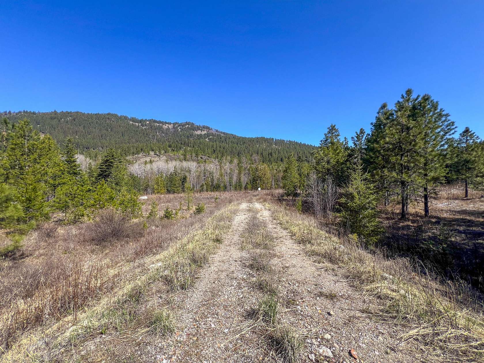 173 Acres of Recreational Land for Sale in Chewelah, Washington