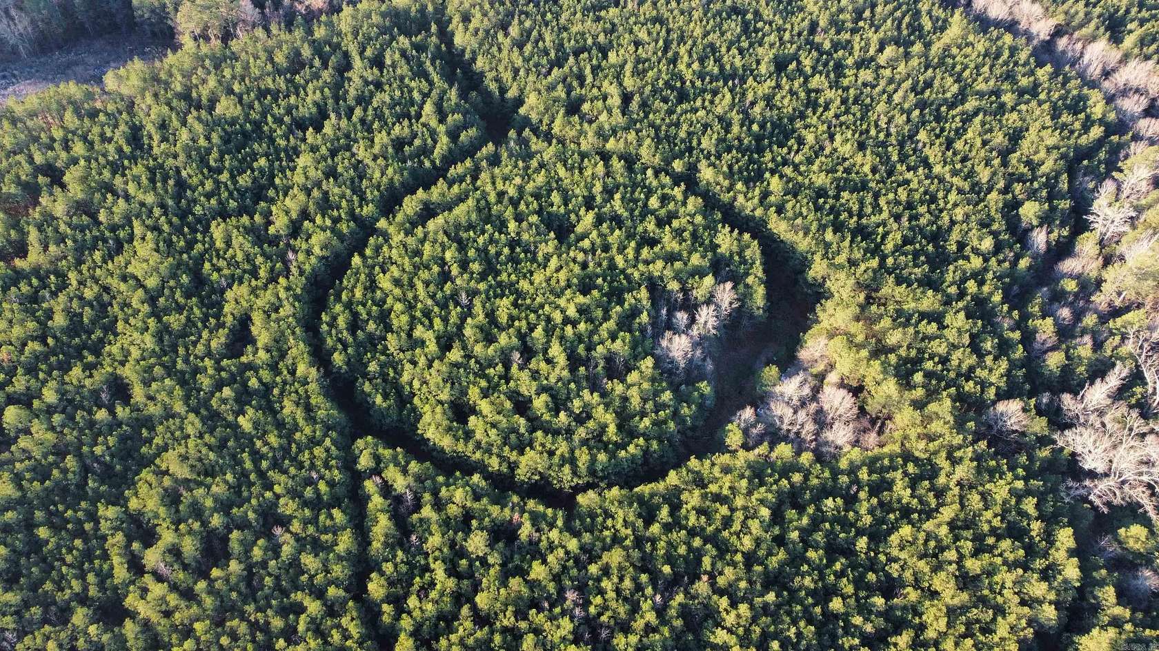 179 Acres of Recreational Land for Sale in Hermitage, Arkansas