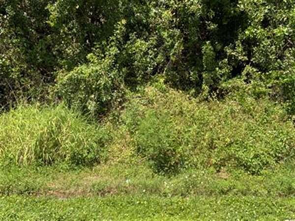 Residential Land for Sale in Port St. Lucie, Florida