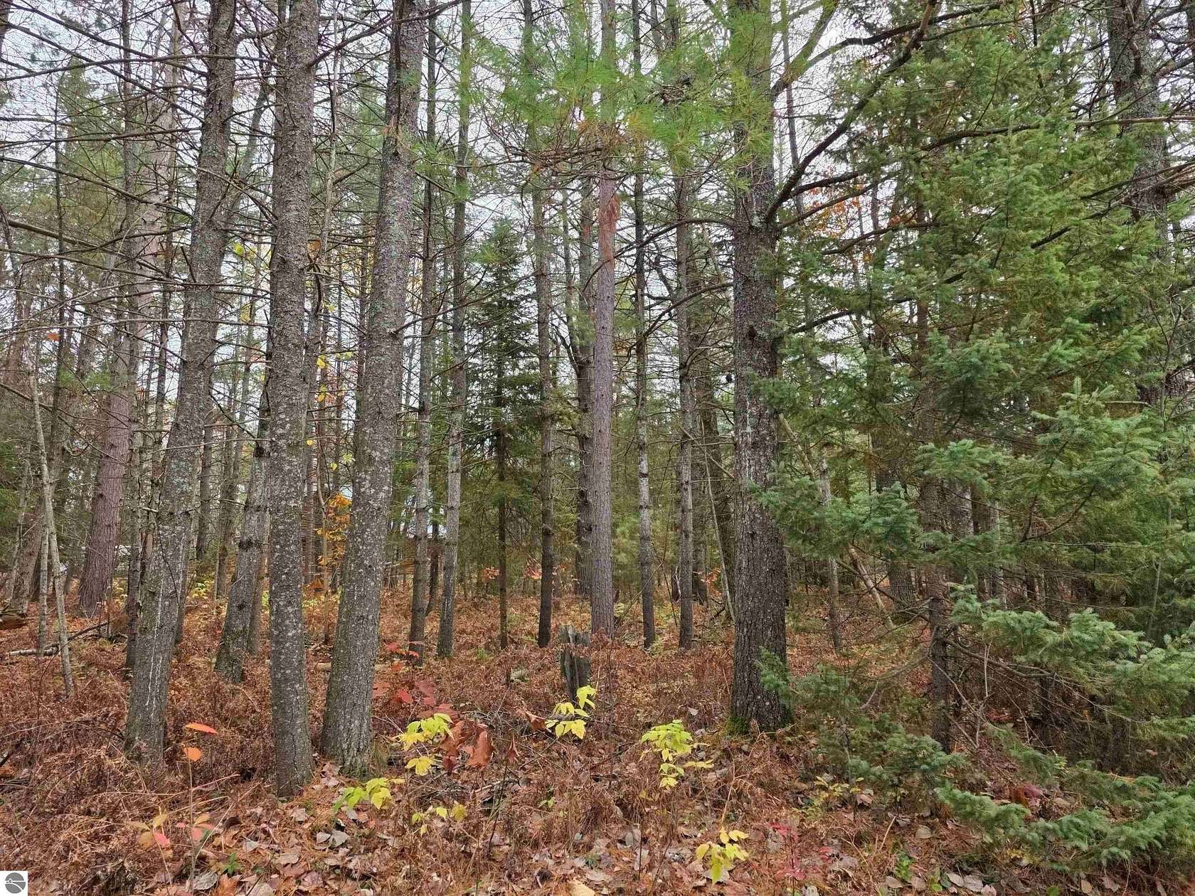 0.34 Acres of Land for Sale in Grayling, Michigan