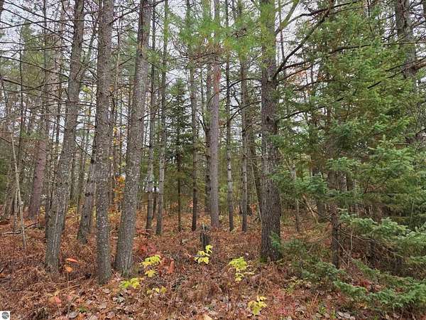 0.34 Acres of Land for Sale in Grayling, Michigan