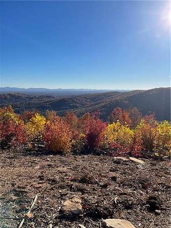 21.2 Acres of Recreational & Residential Land for Sale in McGrady, North Carolina