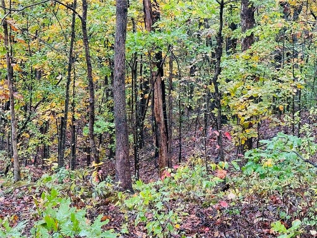 0.29 Acres of Residential Land for Sale in Bella Vista, Arkansas