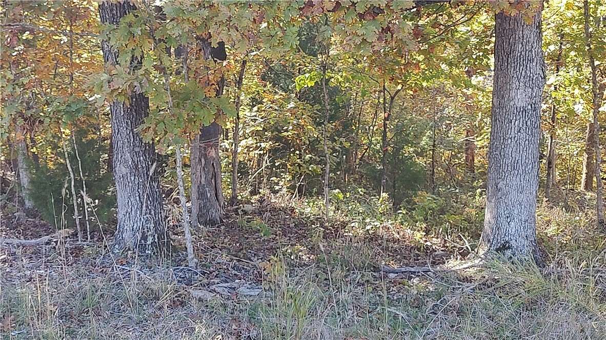 0.35 Acres of Residential Land for Sale in Bella Vista, Arkansas