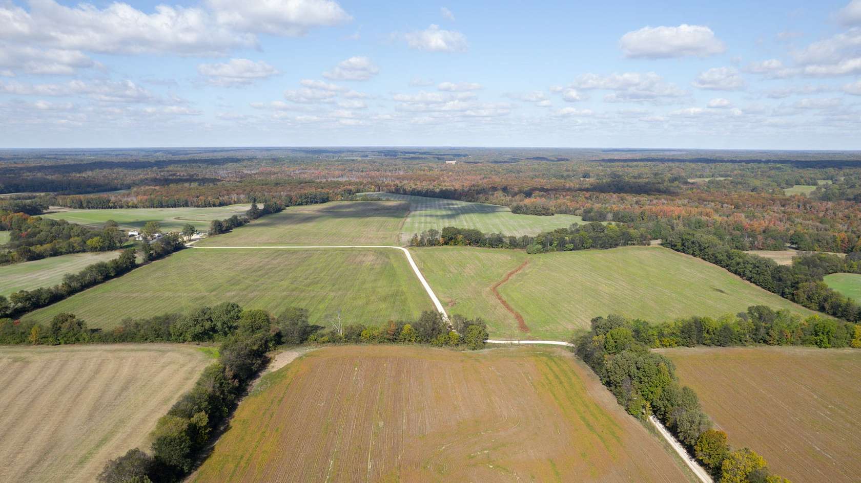 113 Acres of Agricultural Land for Auction in Paris, Tennessee