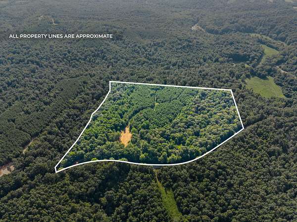 30 Acres of Recreational Land for Sale in Stewart, Tennessee