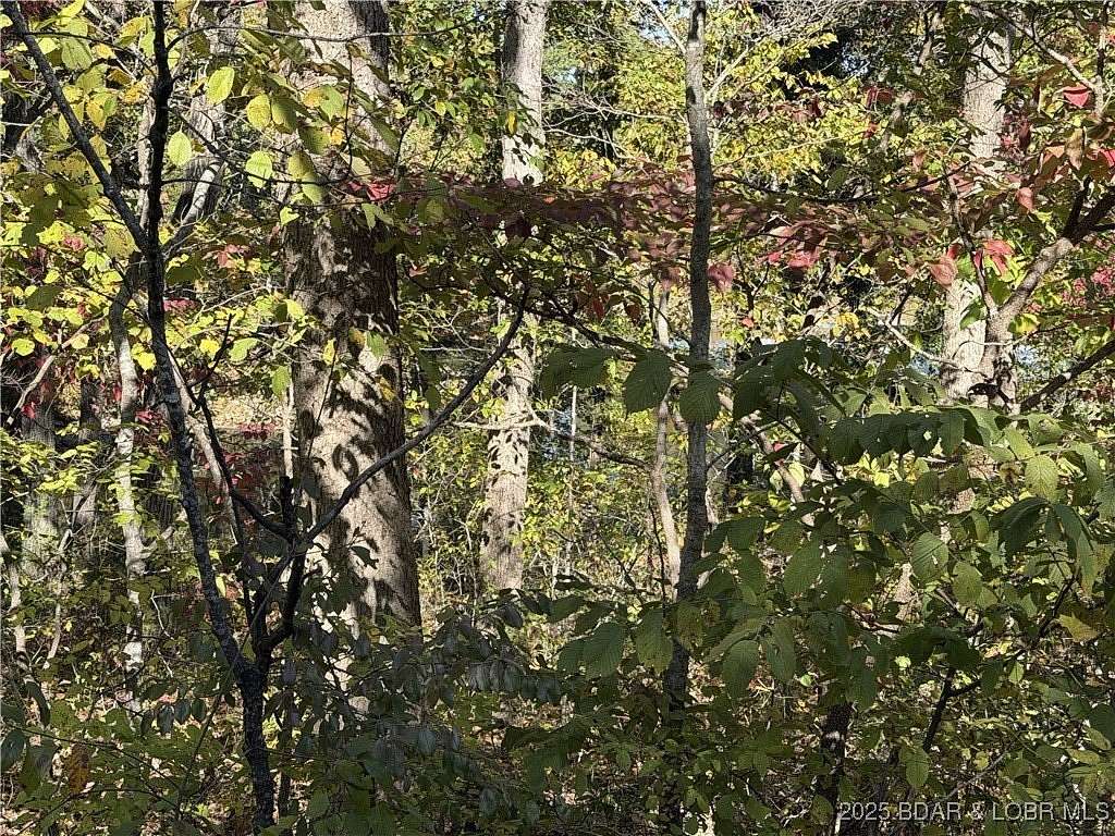 1.8 Acres of Residential Land for Sale in Climax Springs, Missouri