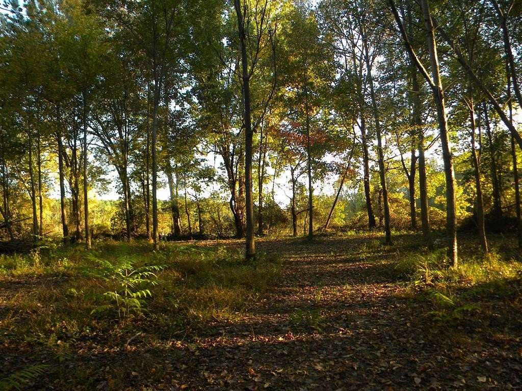 10 Acres of Residential Land for Sale in Palmersville, Tennessee