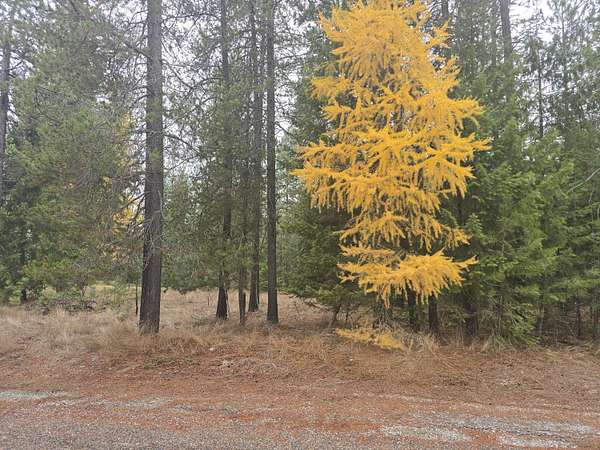 0.25 Acres of Residential Land for Sale in Chewelah, Washington