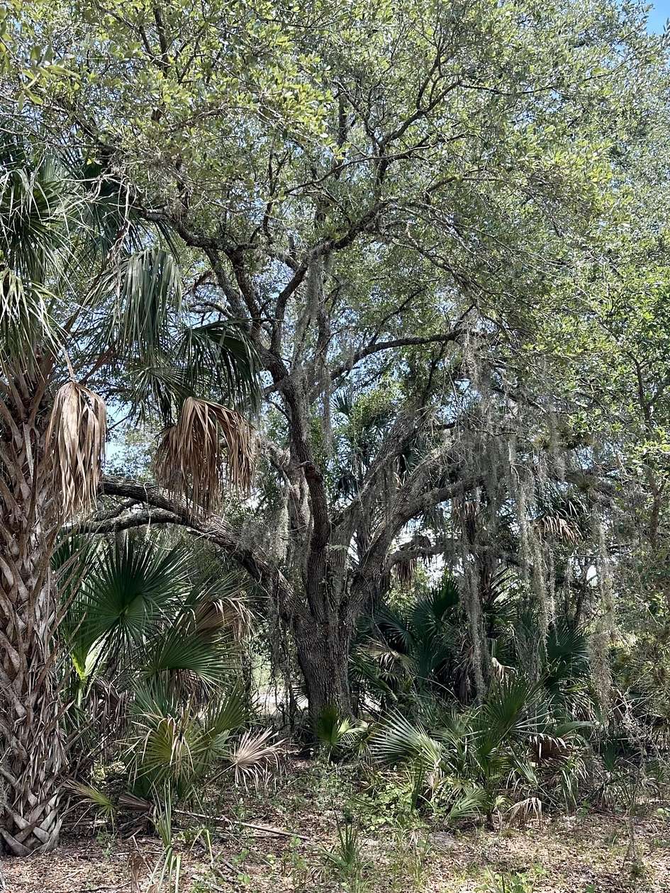 Residential Land for Sale in Okeechobee, Florida