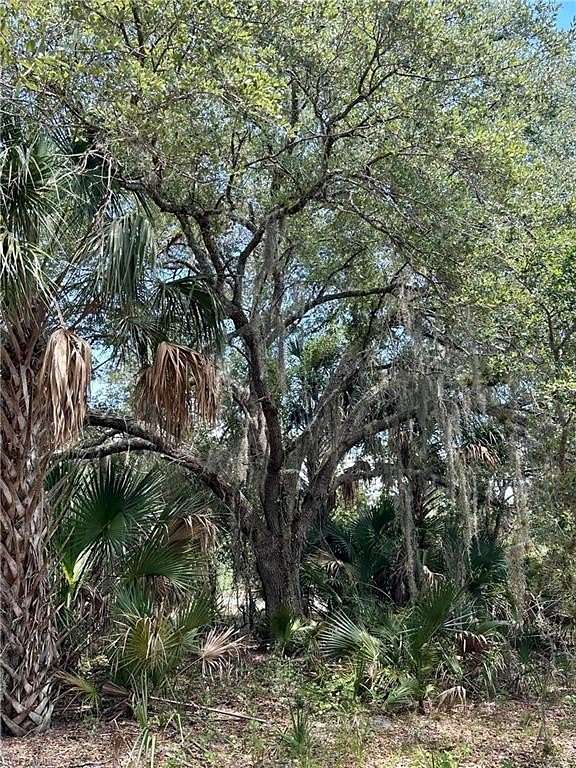 20 Acres of Land for Sale in Okeechobee, Florida