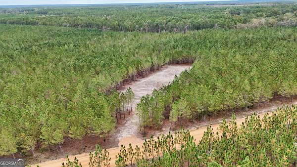 4 Acres of Residential Land for Sale in Baxley, Georgia