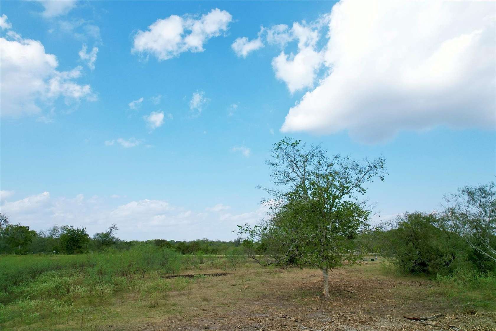 1.2 Acres of Residential Land for Sale in Smithville, Texas