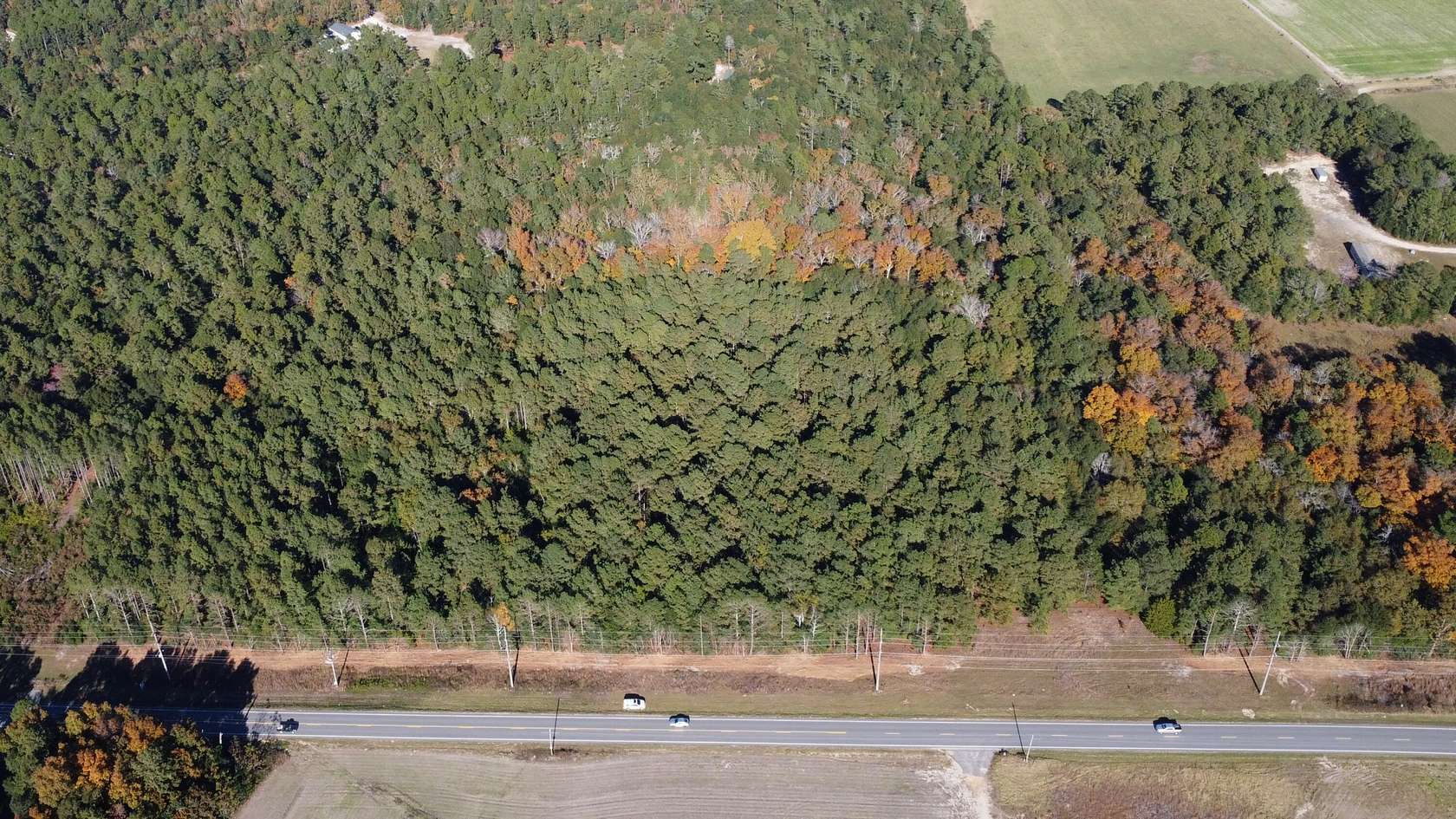 21 Acres of Land for Sale in Pelion, South Carolina