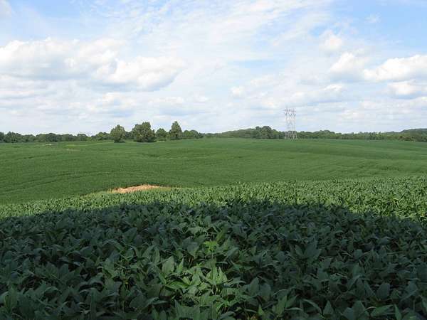 160 Acres of Agricultural Land for Auction in Holland, Indiana