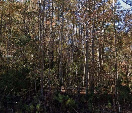 Land for Sale in Pineland, South Carolina
