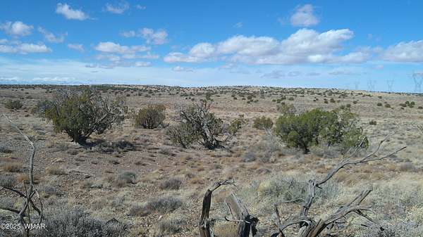 44.6 Acres of Agricultural Land for Sale in Snowflake, Arizona