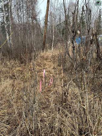 20 Acres of Land for Sale in North Pole, Alaska