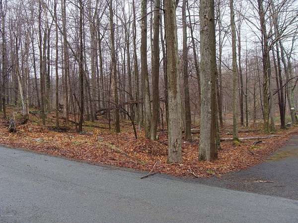 0.29 Acres of Residential Land for Sale in Newfoundland, Pennsylvania