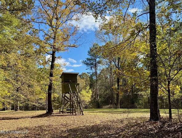 102 Acres of Land for Sale in Calhoun City, Mississippi