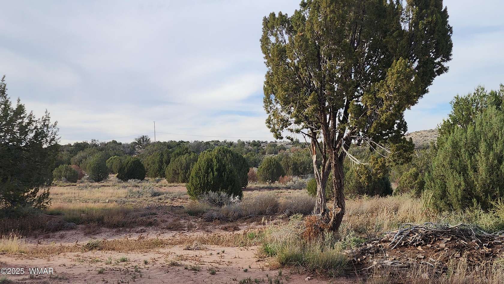 2.5 Acres of Residential Land for Sale in Taylor, Arizona