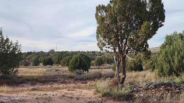 2.5 Acres of Residential Land for Sale in Taylor, Arizona