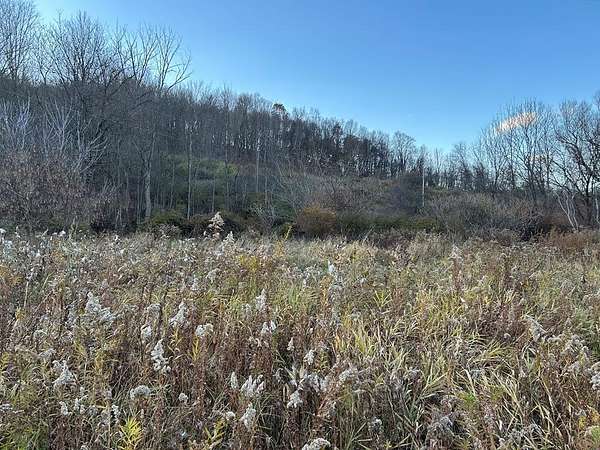 46.1 Acres of Recreational Land for Sale in Mainesburg, Pennsylvania