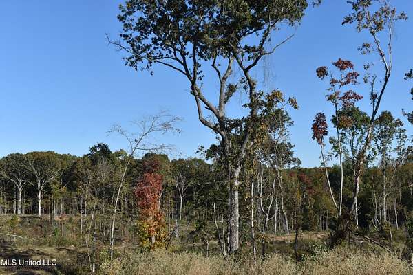 8 Acres of Land for Sale in Holly Springs, Mississippi