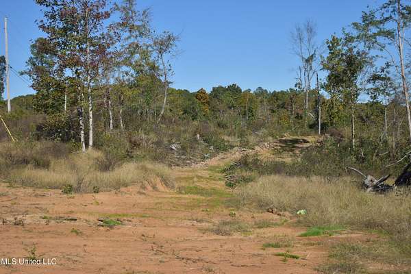 5.3 Acres of Land for Sale in Holly Springs, Mississippi