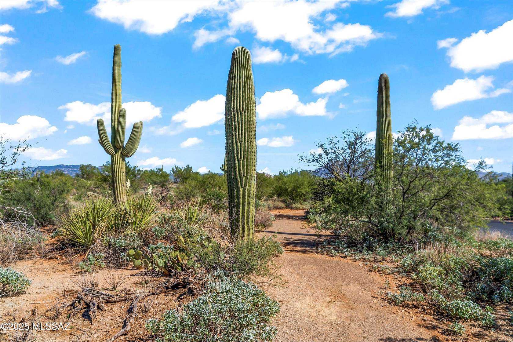 1.8 Acres of Residential Land for Sale in Vail, Arizona