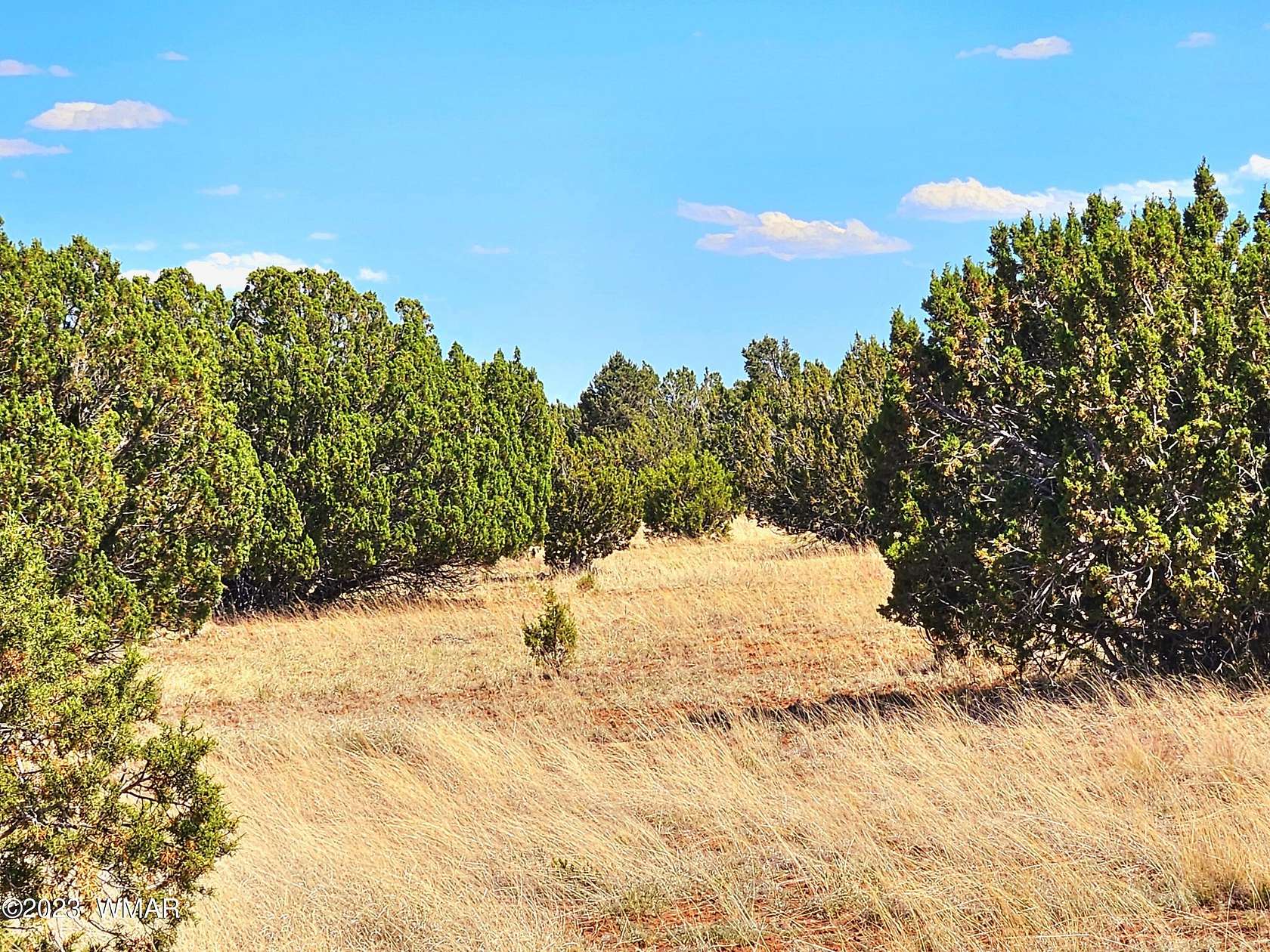 1.18 Acres of Residential Land for Sale in Concho, Arizona