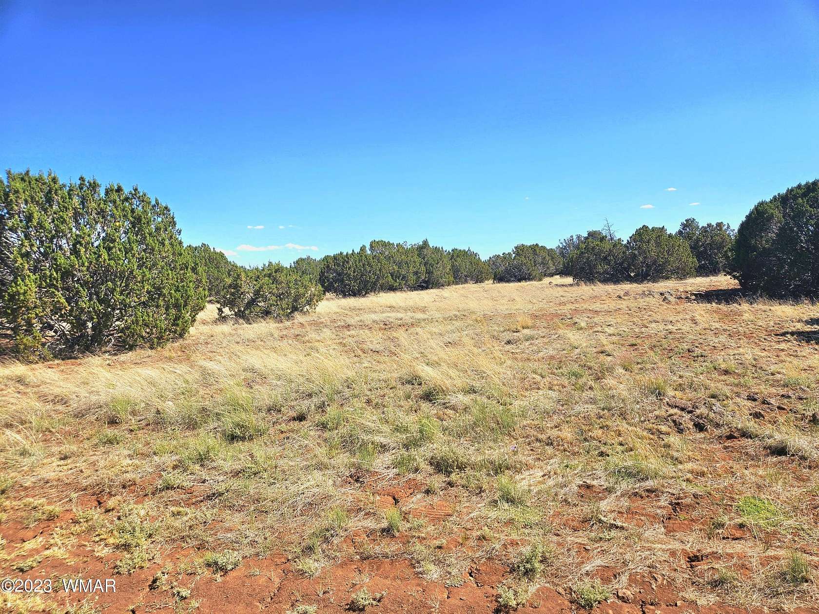 1.18 Acres of Residential Land for Sale in Concho, Arizona