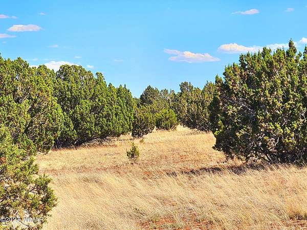1.18 Acres of Residential Land for Sale in Concho, Arizona