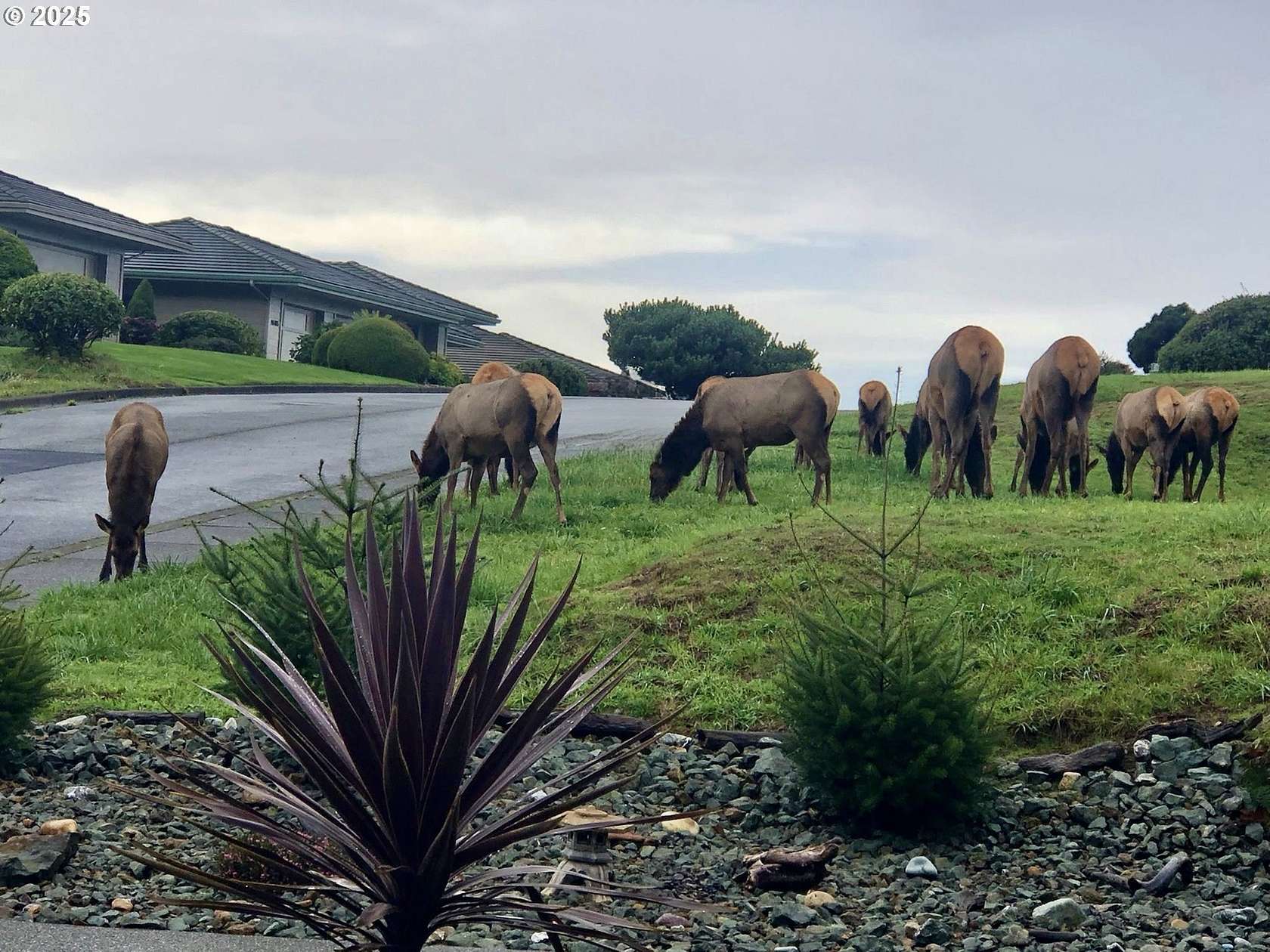 0.32 Acres of Residential Land for Sale in Brookings, Oregon