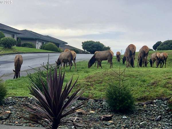 0.32 Acres of Residential Land for Sale in Brookings, Oregon