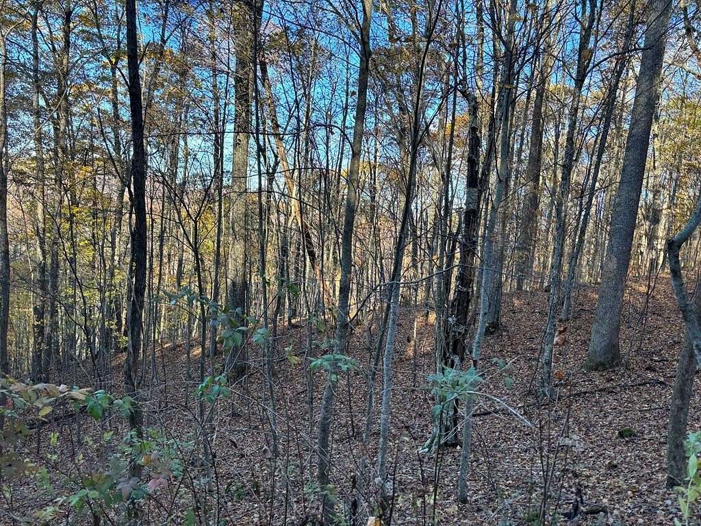 1.7 Acres of Residential Land for Sale in Nantahala, North Carolina