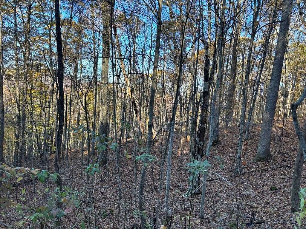 1.7 Acres of Residential Land for Sale in Topton, North Carolina