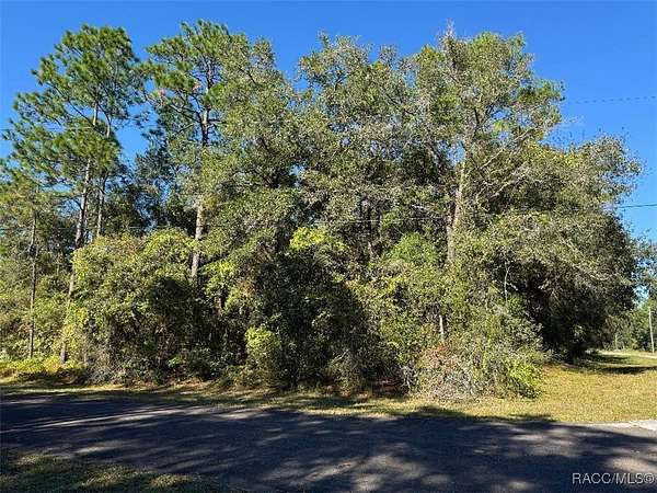 0.31 Acres of Residential Land for Sale in Citrus Springs, Florida