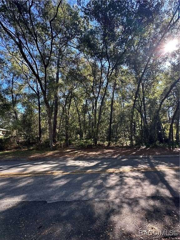 0.44 Acres of Residential Land for Sale in Inverness, Florida